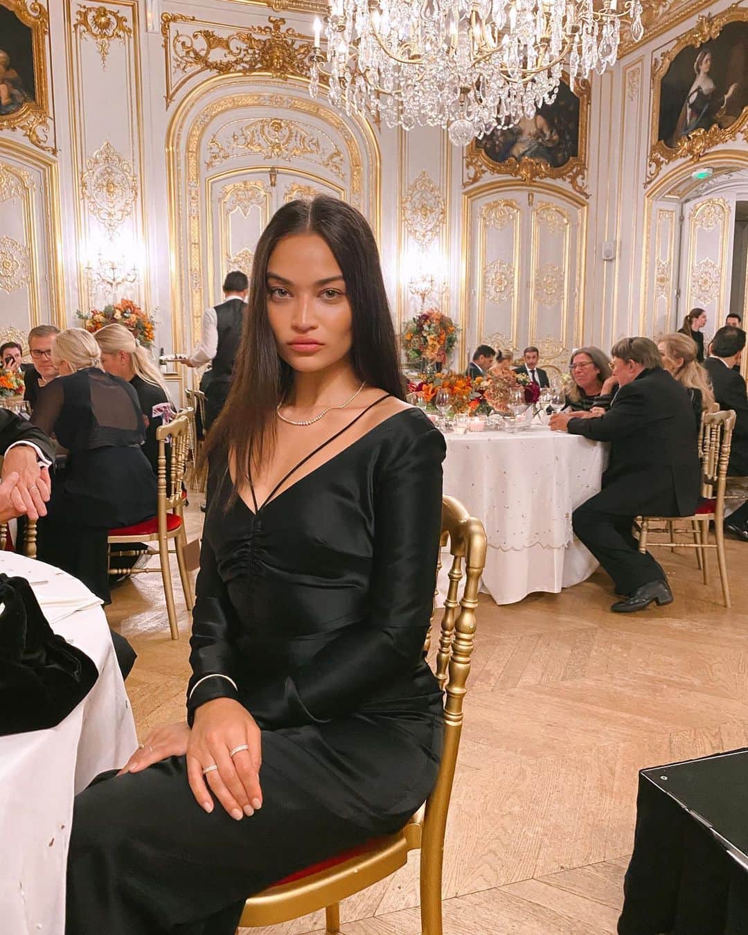 シャニーナ・シャイクのインスタグラム：「Celebrating @aljassimyafarm tonight! Thank you for a beautiful evening in Paris. Excited for tomorrow’s event ...」