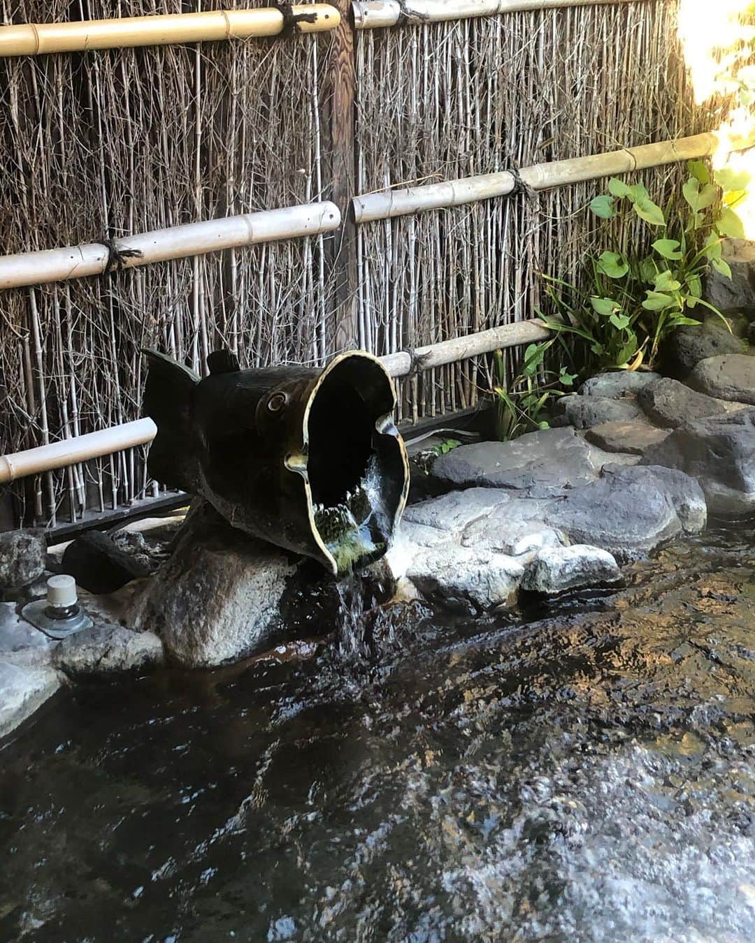 パンツェッタ・ジローラモさんのインスタグラム写真 - (パンツェッタ・ジローラモInstagram)「Shooting #hakone #beautiful #onsen #spa #super #funnybar #luxury #leon ##travel  #travelphotography  #traveling  #travelblogger  #traveler  #travelingram  #traveltheworld  #travelblog  #travels  #traveladdict  #travelphoto  #traveldiaries  #travelawesome  ##traveldeeper  #travelers  #traveldiary  #travellers  #travellingthroughtheworld  #travelguide  #travelersnotebook #travelbag  #traveling the world」12月1日 9時15分 - girolamo.me