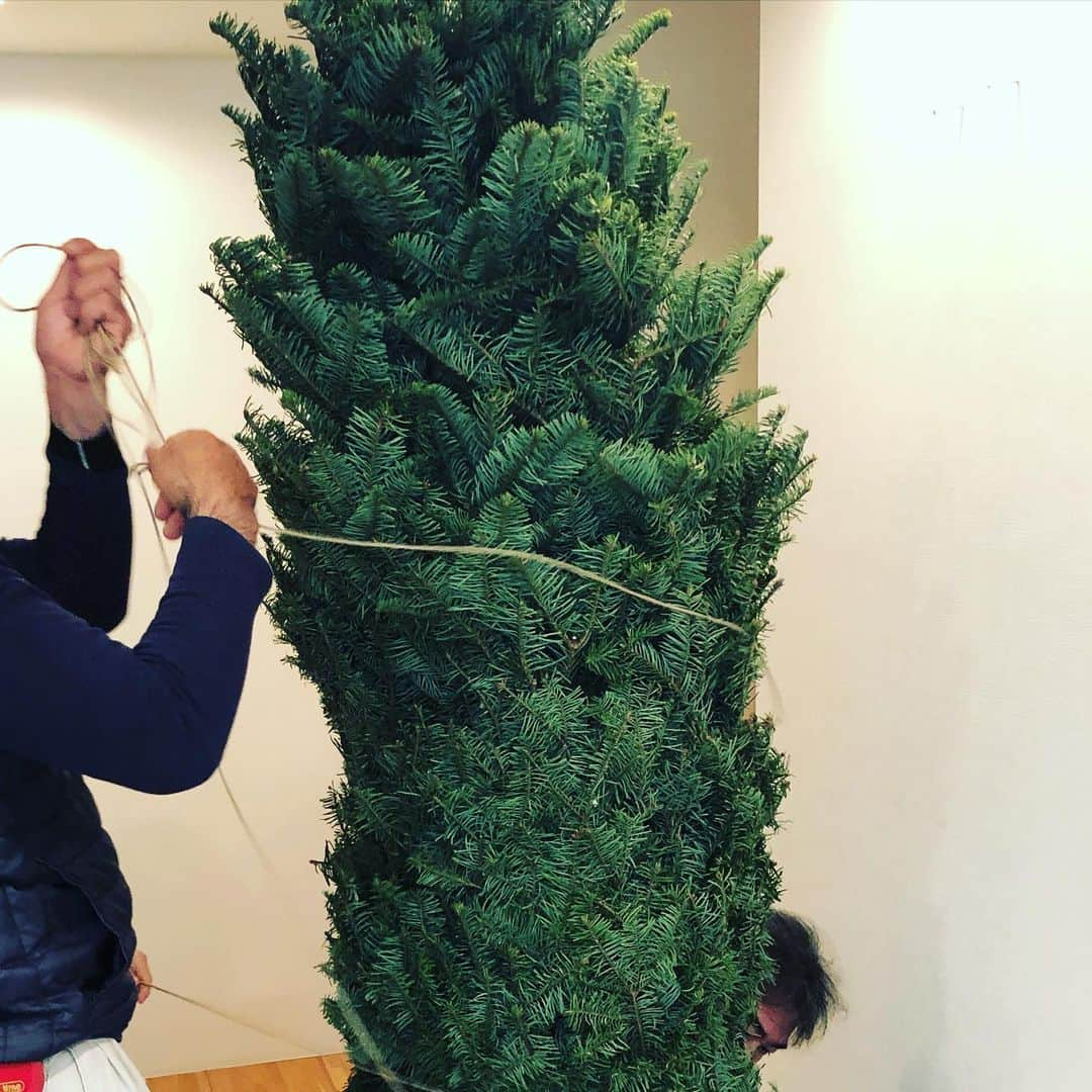 内田恭子さんのインスタグラム写真 - (内田恭子Instagram)「Our tree is here!! Smells wonderful!! #christmastree #happysundaymorning #fromoregon #クリスマスツリー　#内田恭子　kyokouchida」12月1日 10時11分 - kyoko.uchida.official