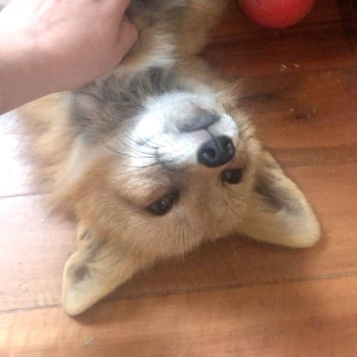 Rylaiのインスタグラム