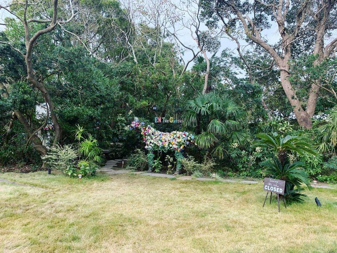 名波はるかのグルメインスタ