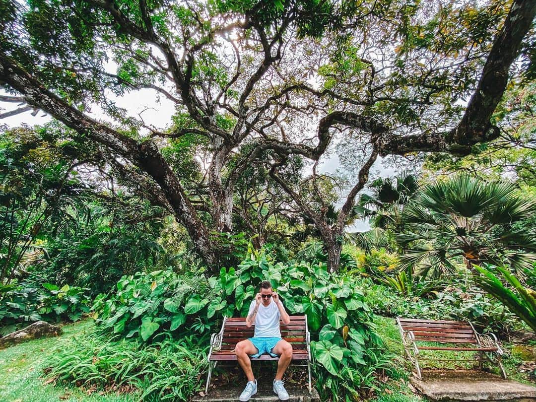ロビン・シュルツのインスタグラム：「Into the Jungle 🦖」