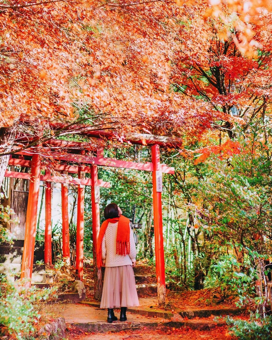 wacameraのインスタグラム：「Finally I have to say "Welcome December"😭 I cannot believe… I feel like yesterday when I said "Happy New Year 2019"😱 12月、え？12月なの？ってな感じで気がついたら師走ですよ、みなさん。信じられます？ 歳のせいなのか、この仕事のせいなのか、季節を感じていても何月なのかをあまり実感できていないため、フリーランスになってからの10年があまりにも早く過ぎ去ってゆきます。 紅葉もそろそろ終わりかな…また来年。ってその来年が早く来すぎるんだよー😭」
