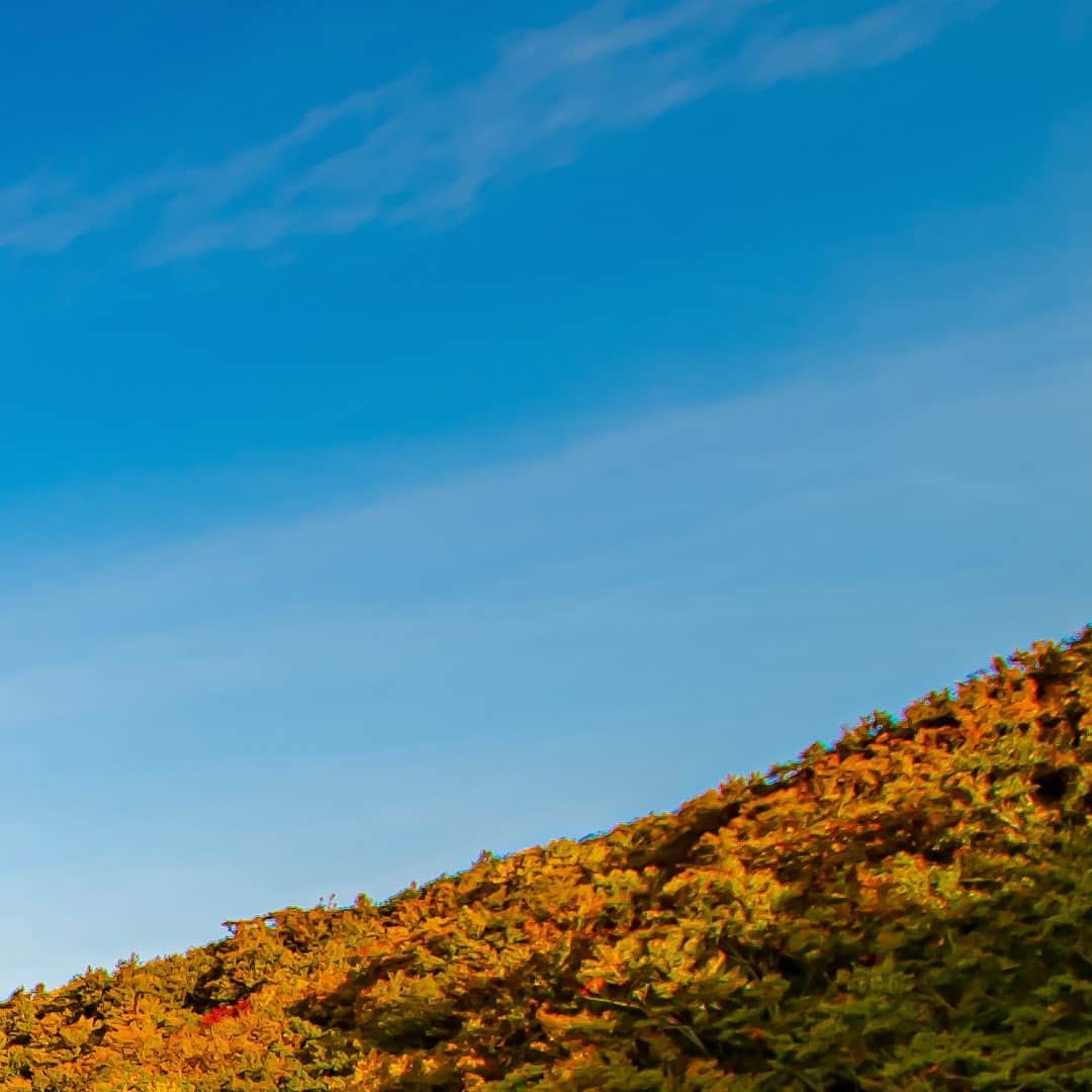 tomohiro koshikaのグルメインスタ