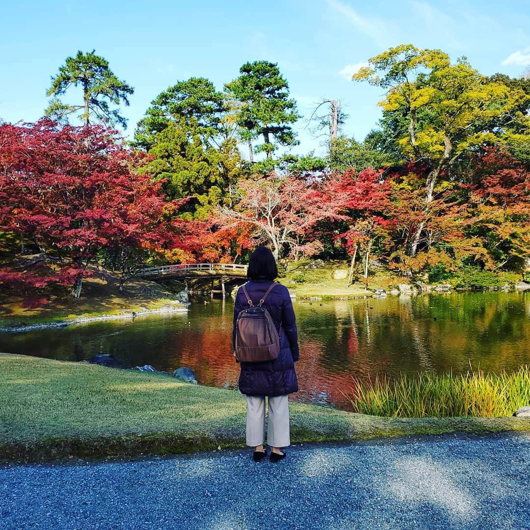 徳増ないるさんのインスタグラム写真 - (徳増ないるInstagram)「少し前に訪れた京都の紅葉🍁」12月1日 20時53分 - nairu.tokumasu