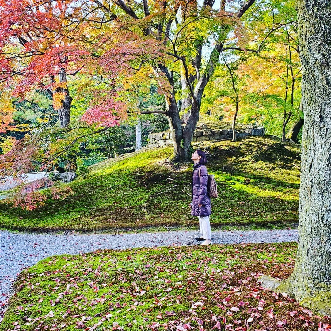 徳増ないるのインスタグラム：「少し前に訪れた京都の紅葉🍁」