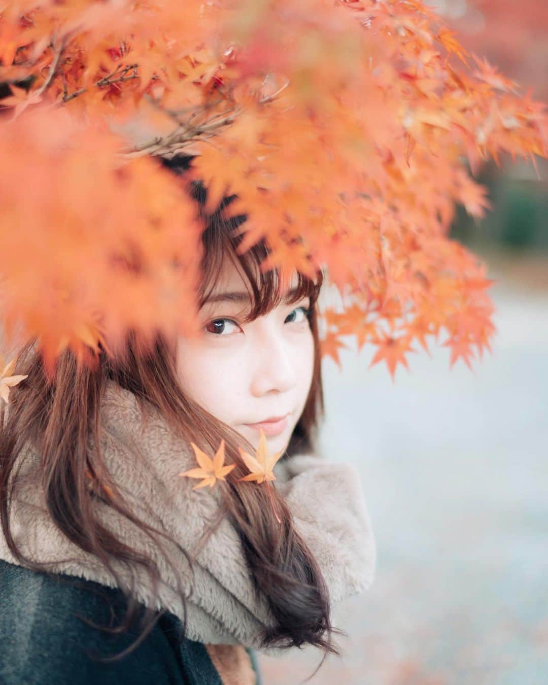 sorayuchiのインスタグラム：「・ 今年の紅葉はたくさん撮影できました🍁(*´꒳`*)」
