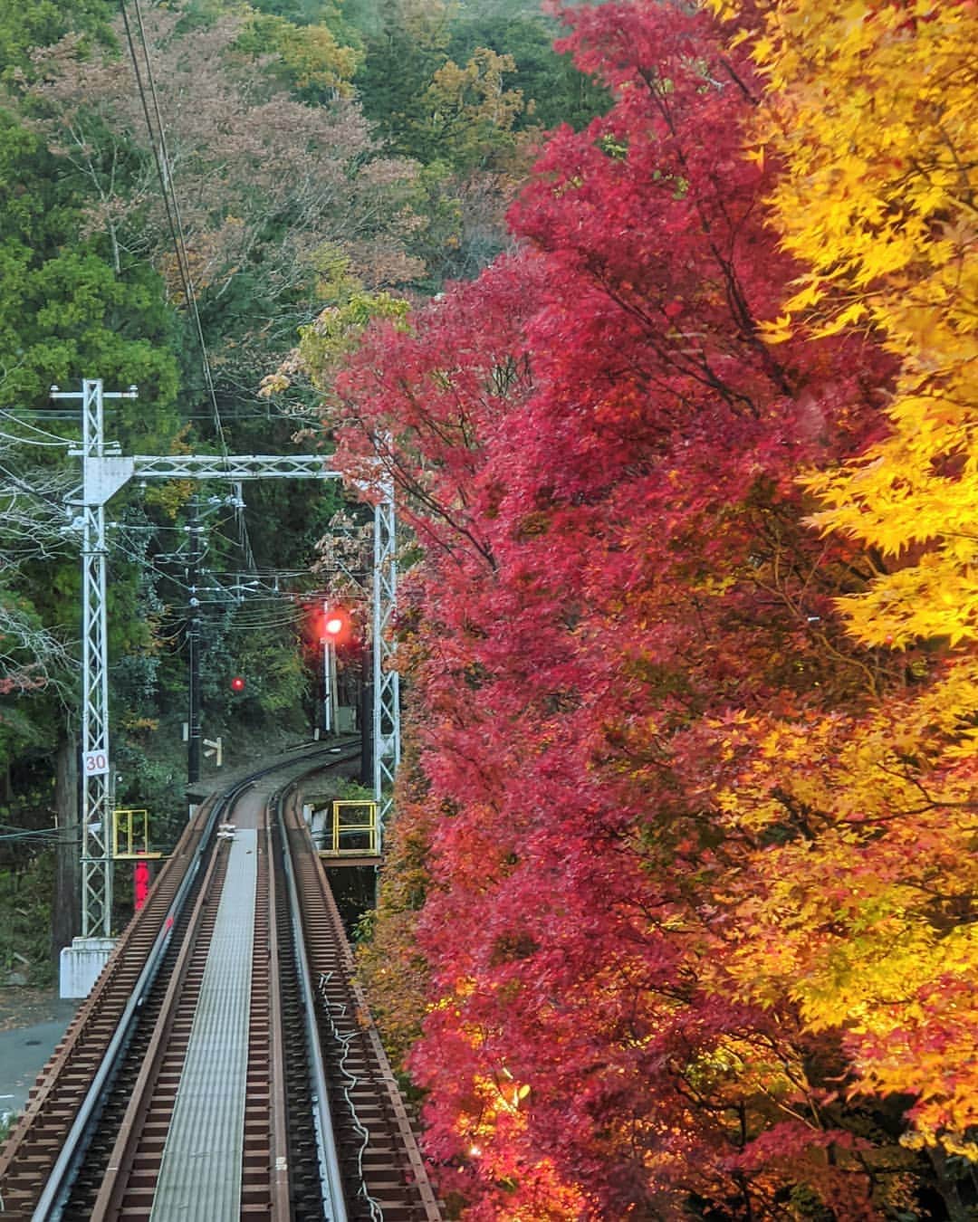 のインスタグラム：「叡山電鉄鞍馬線 Kurama line Kyoto  #Kyoto #京都 #紅葉#pixelで撮影　 #googlepixel #googleのスマホ」