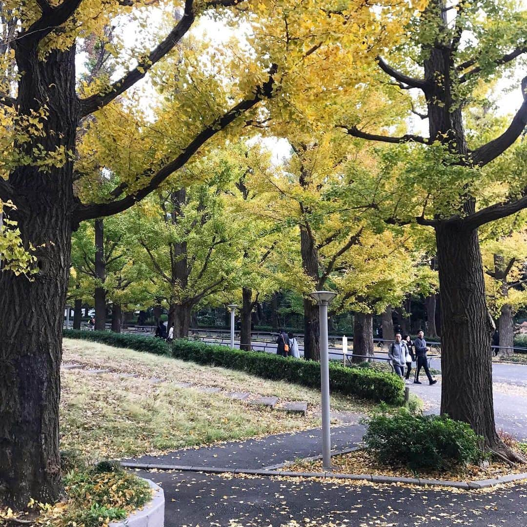 ティファニー春香さんのインスタグラム写真 - (ティファニー春香Instagram)「. 紅葉が見頃な時期ですね😊🍂 黄金の絨毯が見られるのはあともう少しかな☺︎ #紅葉 #秋冬 #銀杏並木 #いちょう並木」12月1日 22時00分 - tiffanyharuka