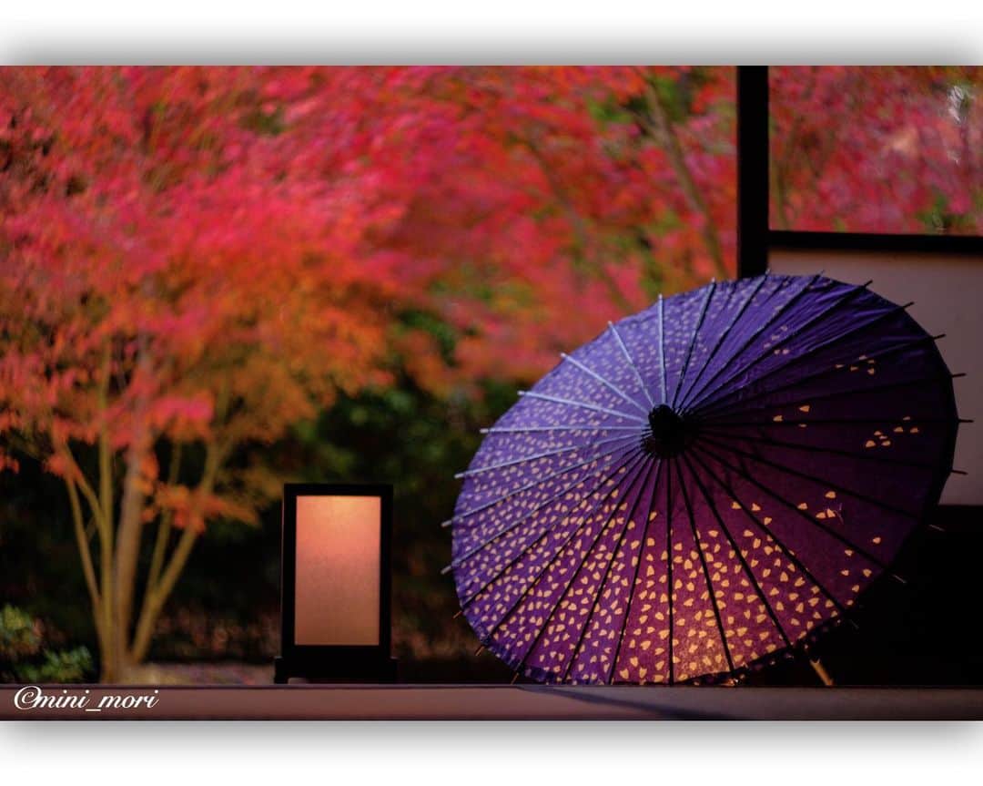 ☀もり、のグルメインスタ