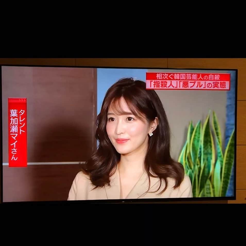 葉加瀬マイさんのインスタグラム写真 - (葉加瀬マイInstagram)「昨晩のTBS『情報7days ニュースキャスター』にて、韓国の芸能界についてお話しさせていただきました。韓国での相次ぐ芸能人の自殺、、本当に悲しいです。才能、魅力溢れる彼女、彼らがなんで死を選ぶところまで追い込まれてしまったのか。私達には計り知れない苦悩があったとおもいます。 韓国の芸能界の闇と言われていますが、過酷スケジュールやお金や契約の件もそれが韓国では当たり前のことであり、わかってて皆芸能人に憧れて練習生になっています。厳しい練習生時代や、競争社会であるからこそ、世界に通用する素晴らしいアーティストがたくさん出ていて、韓国のエンターテイメントは世界で愛されています。 日本は未完成でも成長を見守ってくれるあたたかい目があり、ミスもネタにできたり、欠点が個性として輝くことができる芸能界ですが、 韓国の芸能人達は常に完璧を求められて完璧な姿を見せないといけないというプレッシャーがあります。少しでも倫理観に外れてることを発言したり、少しのミス、外見のことで欠点があると、それが悪質コメント（悪プル）の対象になってしまいます。 私が韓国に住んでて感じたことは、日本より世間が芸能人に対する興味、関心が強いと思います。悪プルという韓国社会に蔓延るその習慣は、芸能人のプライベートに入り込み、犯罪を犯したわけでもないのに何かあると犯罪者のようにまつりあげる、誰でも書き込める殺人凶器です。芸能人だって人ですから、ミスだってあるし、恋愛もしたいと思います。 韓国の芸能人達がもっとあたたかい目で見守れ、人間らしく生きやすい社会であればこんなことにならなかったんじゃないかなと... 私の一意見ですが。。 悪質コメントを書きこむ人達は、自分が気楽に書き込んだ一言が人を傷つけるということを分かってほしいです。」12月1日 21時59分 - m.hakase