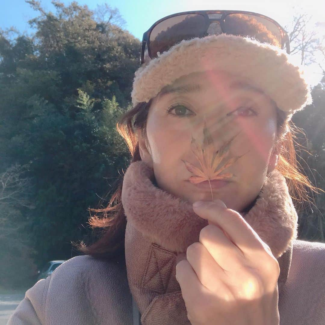 益子直美さんのインスタグラム写真 - (益子直美Instagram)「今日から12月ですねぇ。 鎌倉の紅葉🍁 今年はどうかな？ 海蔵寺へ行ってみました。  台風など塩害の影響もありますが、 鎌倉のお寺の紅葉、まだまだ楽しめそうですね。  #鎌倉  #海蔵寺  #紅葉  #もみじ」12月1日 13時47分 - naomi.masuko