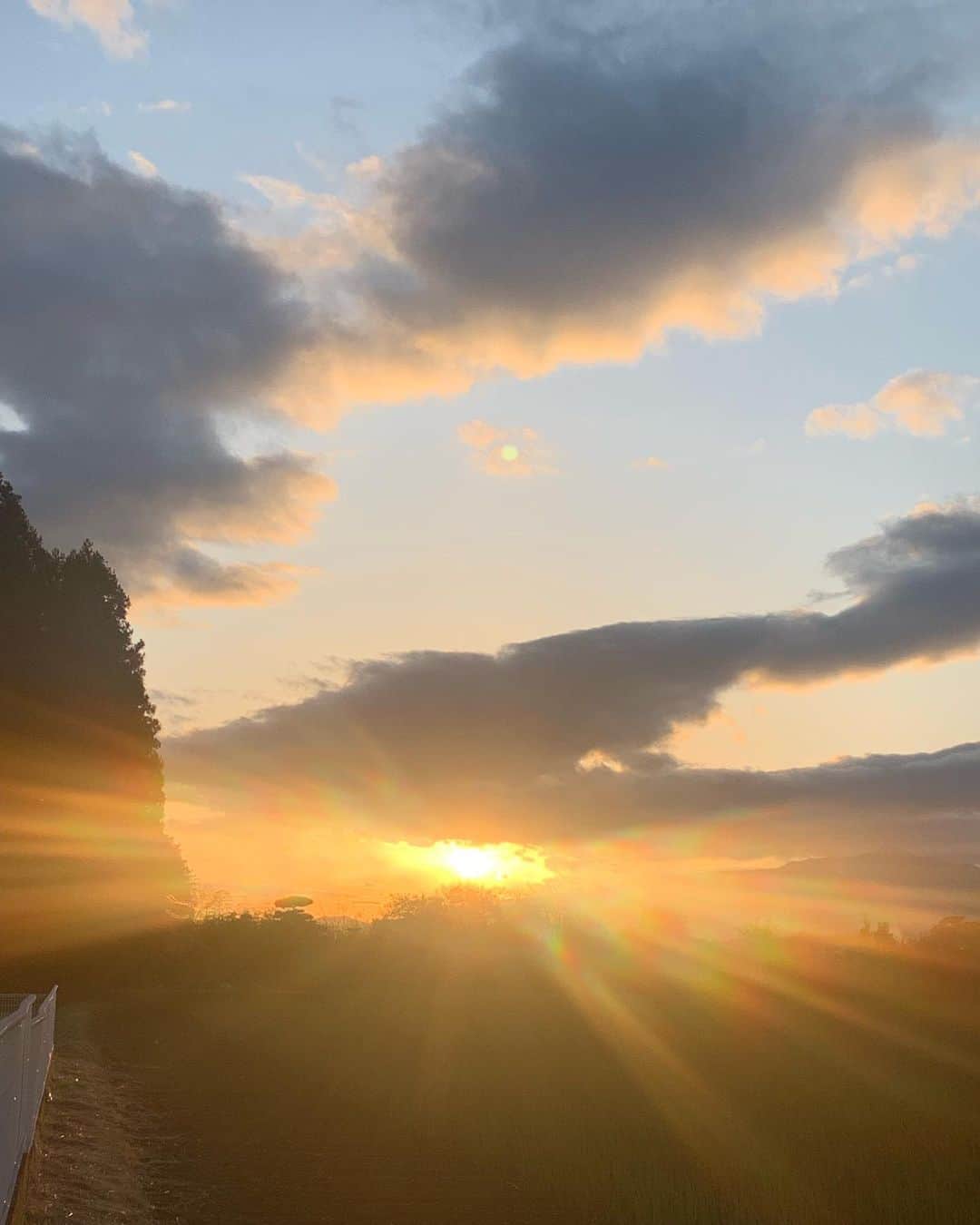 YOSHIROTTENのグルメインスタ