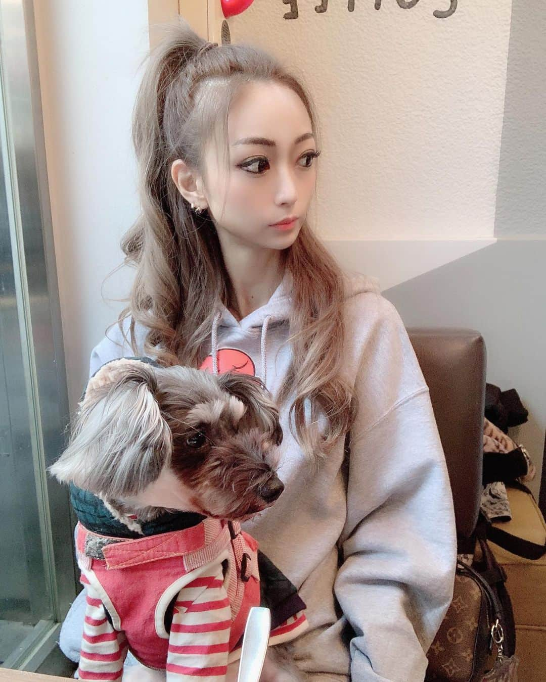 優姫ゆいなさんのインスタグラム写真 - (優姫ゆいなInstagram)「・ 犬は飼い主に似る🐶 らんのお洋服は @shalt  さんです💓 ・ ・  #ファブリック#東京#六本木#新宿#歌舞伎町#名古屋#栄#錦#岐阜県#岐阜市#柳ヶ瀬#多治見市#キャバクラ#キャバ嬢#love#お酒#アルコール#follow#Instagram#ゆいな#優姫ゆいな#コスプレ#レイヤー#aneacafe #ドッグカフェ#ミニチュアシュナウザー#シュナウザー#シュナ」12月1日 14時55分 - yuina_az