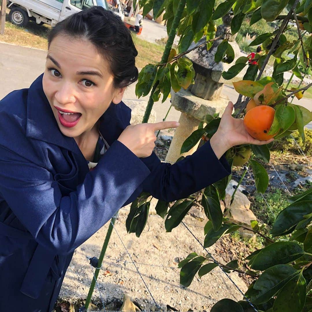 レイチェル・クーさんのインスタグラム写真 - (レイチェル・クーInstagram)「N H K 🇯🇵 Monday 2nd December at 22:50 I explore the Yamanashi region with it's amazing fresh produce (got very excited seeing a persimmon growing), taste delicious home cooked dishes and do a little cooking with the ingredients I discover 🍑🍅🍇More info 👉 Link in bio⁠⠀ ＊＊＊＊＊＊＊＊＊＊＊＊＊＊＊＊＊＊＊＊＊⁠⠀ 放送は⁠⠀ 12月2日（月）　２２：５０～２３：１９⁠⠀ NHK　Eテレ　放送エリア：日本⁠⠀ 「レイチェルの旅ときどきキッチンin 山梨」⁠⠀ ＊＊＊＊＊＊＊＊＊＊＊＊＊＊＊＊＊＊＊＊＊⁠⠀ Coat @brgnbylundegaundal {gift}⁠⠀ Dress @lenahoschek {not gifted but have received other clothes gifted} .⁠⠀ .⁠⠀ .⁠⠀ .⁠⠀ .⁠⠀ .⁠⠀ .⁠⠀ .⁠⠀ .⁠⠀ .⁠⠀ #rachelkhoo #rachelkhoorecipe #khoojapan #rachelkhoojapan #nhk #rachelkhooyamanashi #persimmon #mountfuji」12月1日 15時07分 - rachelkhooks