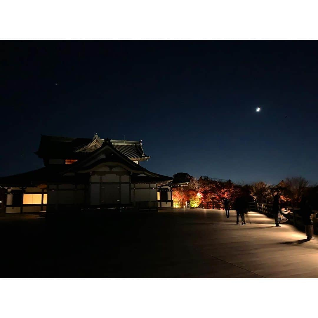 樹神さんのインスタグラム写真 - (樹神Instagram)「京都の夜景と紅葉が一体となった、幻想的で美しいライトアップ。  東山の山頂・青龍殿の木造大舞台、冷えておりました〜。 #京都#紅葉#ライトアップ#青龍殿#大舞台#枯山水#夜景#kyoto#seiryuden#lightup」12月1日 22時15分 - kotamaofficial