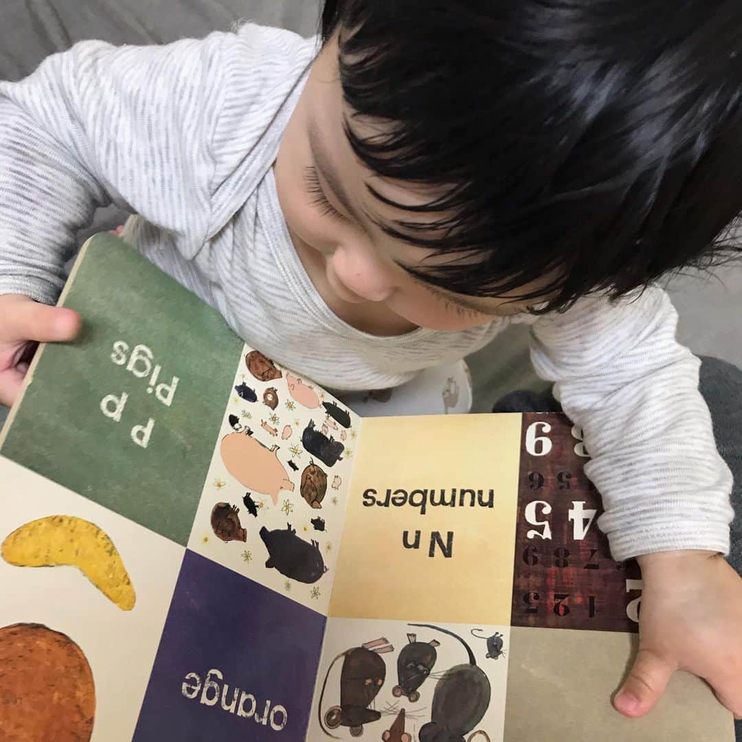 松田青子のインスタグラム：「このあと本を食べようとした。」