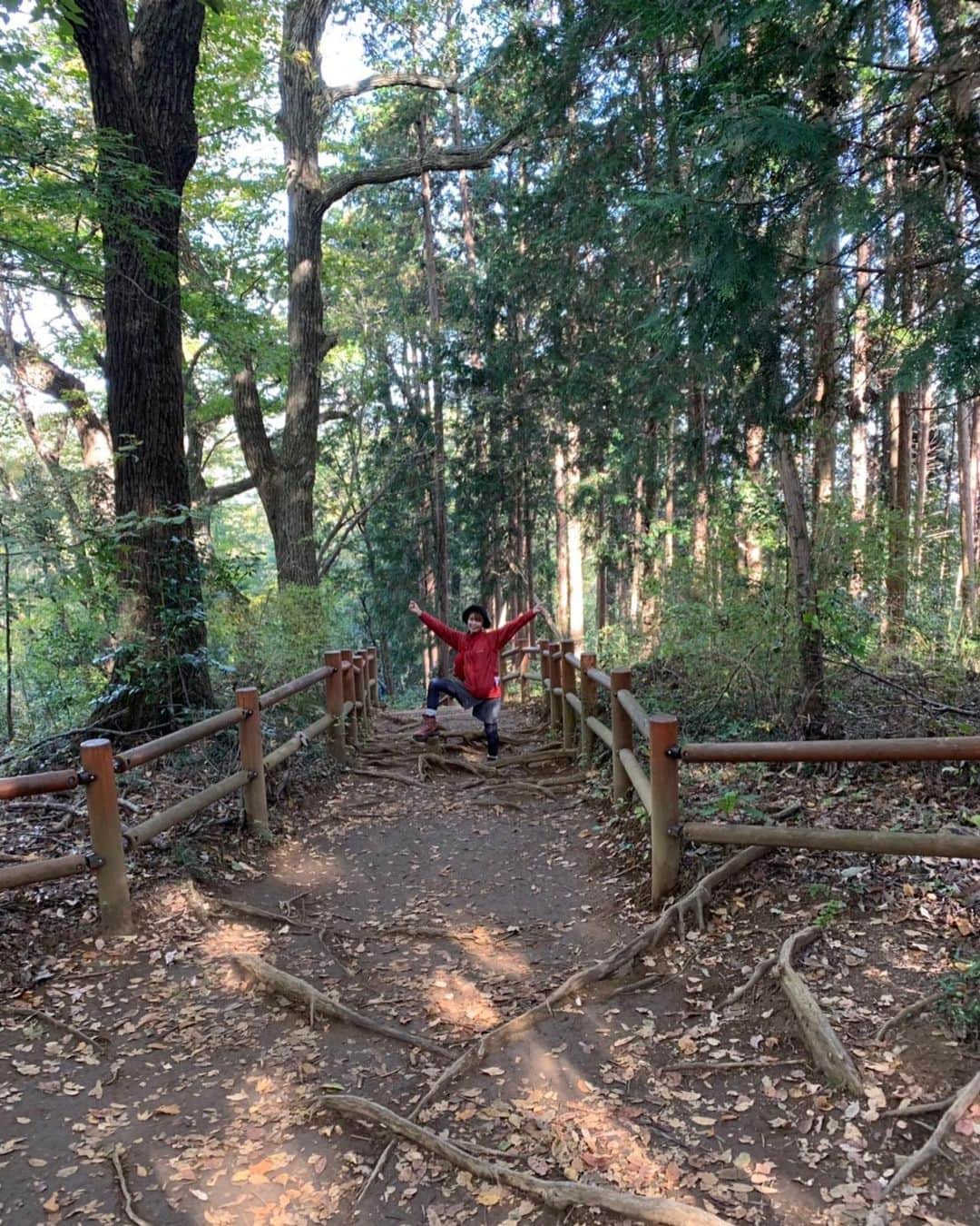 池田彩さんのインスタグラム写真 - (池田彩Instagram)「この前登った高尾山🏔 今の方が紅葉ピークみたいやね🍁 子供達が木の棒に片脚乗せて、パワーチャージ！！！！ってやってたから、私も真似してみました。 5枚目🕺 もう12月かー！！！ ほんと、時が経つのは早いですな🙄 #高尾山 #紅葉 #パワーチャージ #富士山 #見えた #景色」12月1日 17時31分 - aya_ikeda_official