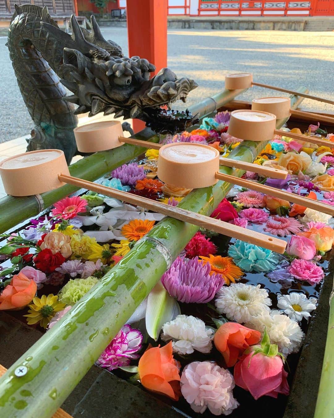 JAPANのインスタグラム：「Nangu Taisha」
