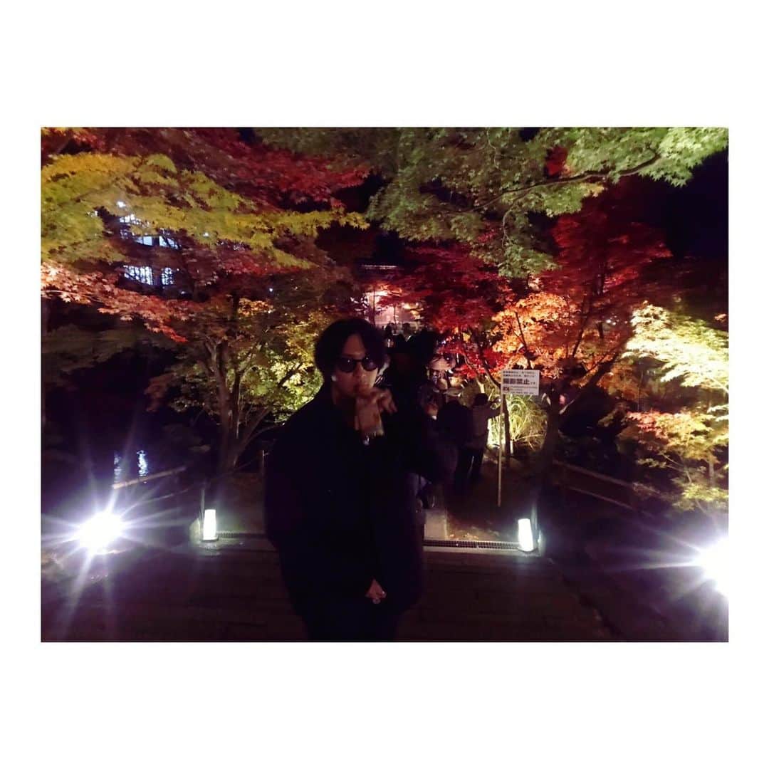 渡部秀さんのインスタグラム写真 - (渡部秀Instagram)「秋最高。  #埼玉」12月1日 17時46分 - shu_samurai