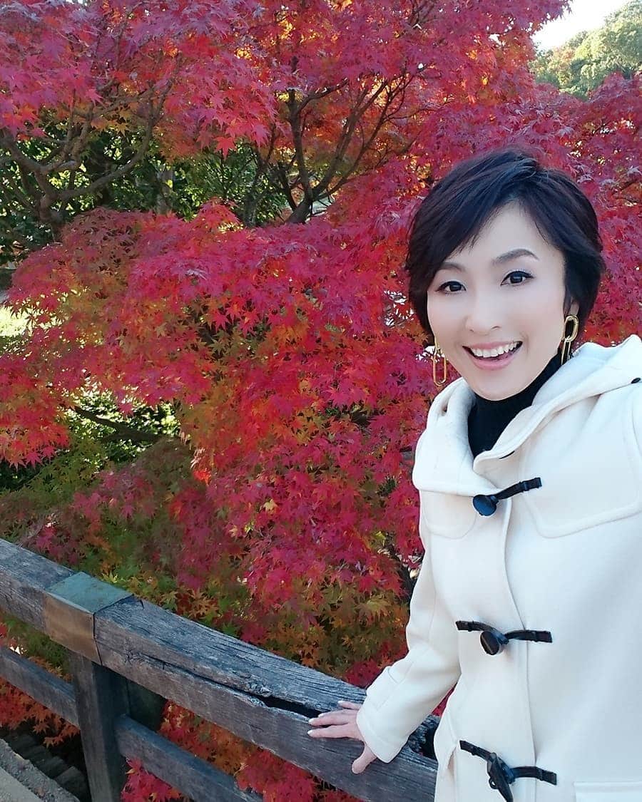 丹野みどりのインスタグラム