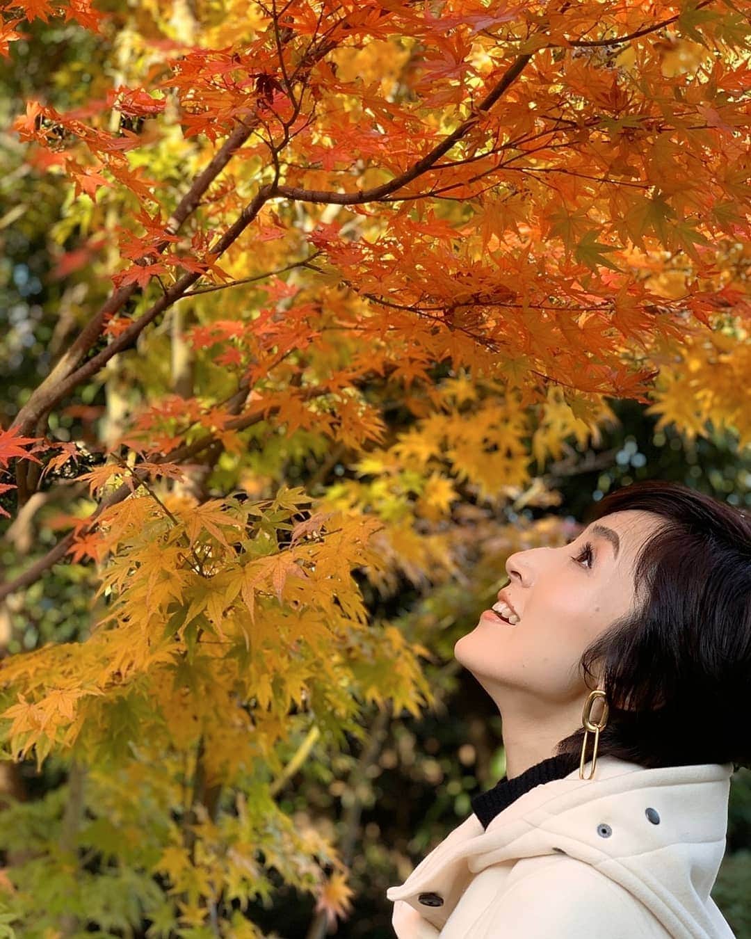 丹野みどりのインスタグラム