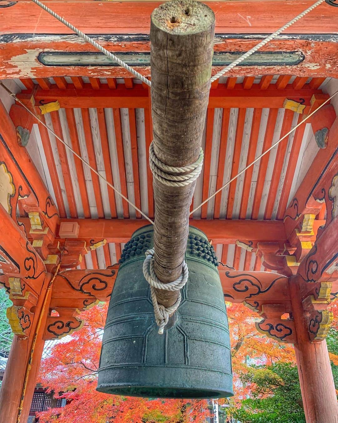 JAPANのインスタグラム：「Nangu Taisha」