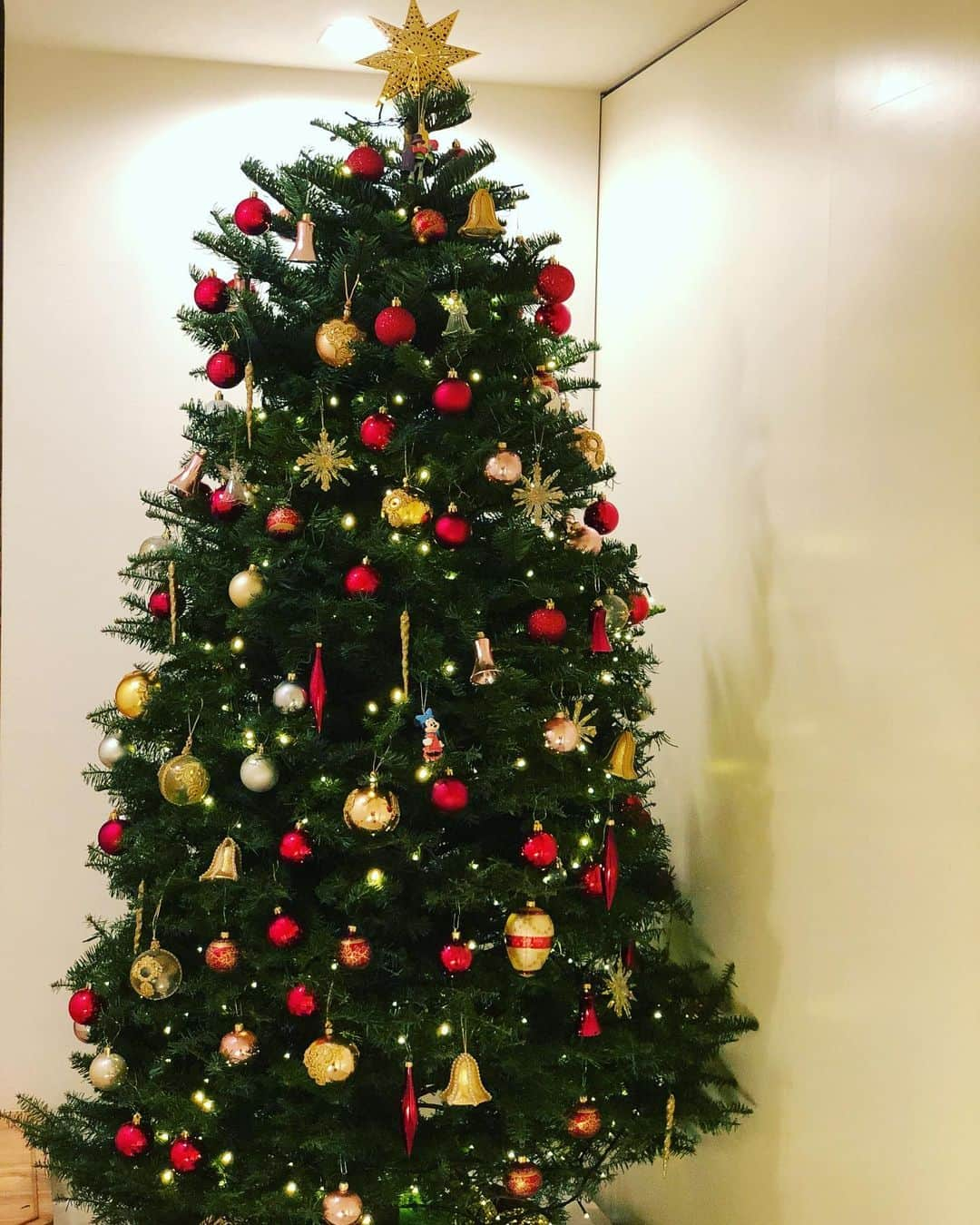 内田恭子さんのインスタグラム写真 - (内田恭子Instagram)「Done!! Happy Holidays!! #みんなで飾り付け　#クリスマスソング流しながら　#楽しい時期になったね　#クリスマツリー #christmastree #内田恭子　#kyokouchida」12月1日 17時59分 - kyoko.uchida.official