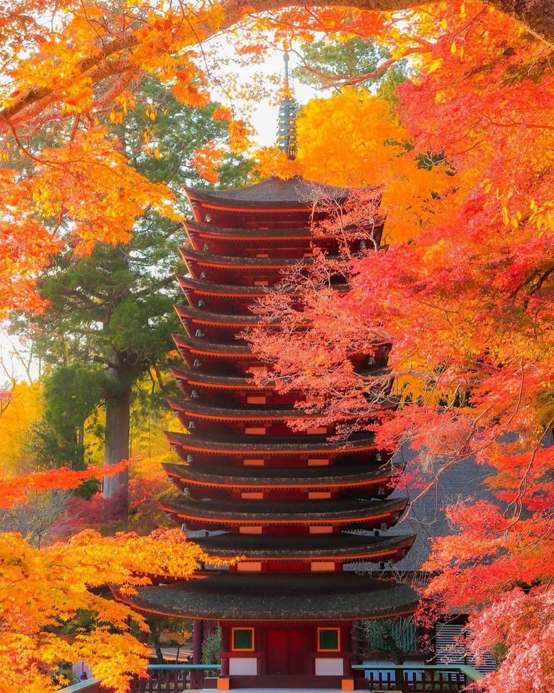 楽天トラベル さんのインスタグラム写真 - (楽天トラベル Instagram)「#奈良 #談山神社 世界唯一の木造十三重塔がある談山神社。 秋は3000本ものカエデに包まれる美しい情景から「関西の日光」とも呼ばれています。 . Special Thanks💓 📸Photo by @u_m_camera . ************************ 旅先で撮った素敵な写真に 場所とともに #rakutentravel を付けてシェアしてね♪ 厳選してこのアカウントで紹介させていただきます！ ************************ . #楽天トラベル #旅 #旅行 #旅に出よう #旅行好きな人と繋がりたい #日本 #紅葉 #奈良旅行  #travel #trip #japan #instagramjapan #IG_JAPAN #japantrip #lovetraveling #lovers_nippon  #naratrip」12月1日 18時00分 - rakutentravel