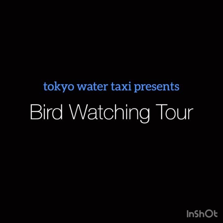 TOKYO WATER TAXIのインスタグラム
