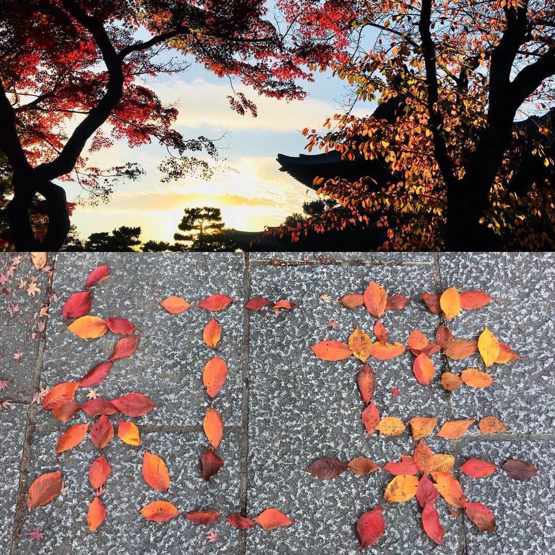 のインスタグラム：「建仁寺  本日より12月！ 京都はお昼間暖かかったです。 劇場の2回目と3回目の合間に建仁寺へ参りました。 陽が傾きかけて何とも風情がありました。 落葉で『紅葉』と並べてみました😅  本日もご来場頂きましたお客様ありがとうございました。 明日からは、よしもと祇園花月は平日も 2回公演がスタート致します。 皆様方のご来場を心よりお待ち申し上げております。  P.S.大阪マラソンも良いお天気だったことでしょうね！  感謝」