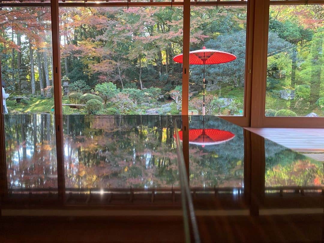 武仲麗依さんのインスタグラム写真 - (武仲麗依Instagram)「今日は紅葉を見に京都と滋賀へ🚗 めちゃくちゃ綺麗やった〜🍁 とぅんちゃんの服も安くで買えたので 着せたらまたストーリーに載せますね😊」12月1日 18時59分 - tknkrei18