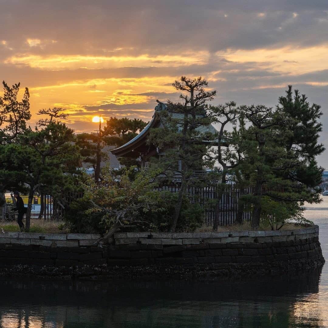 横浜市さんのインスタグラム写真 - (横浜市Instagram)「Good morning December, from Biwajima Shrine 🌅 Photo: @morikei.a7 #myyokohama」12月1日 19時01分 - findyouryokohama_japan