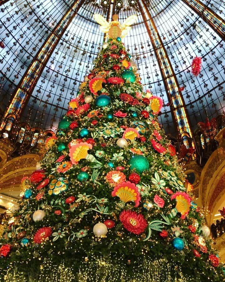 廣瀬規子のインスタグラム：「How beautiful 🎄✨✨✨✨✨」
