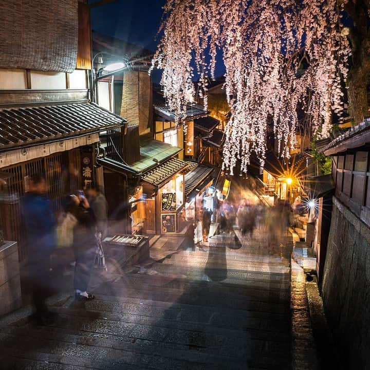 Lonely Planetさんのインスタグラム写真 - (Lonely PlanetInstagram)「'When I first started getting into photography, I was always waiting for crowds to clear to get my shot, which is mostly futile, so now I embrace it! The popular Sanneizaka pedestrian street, up near #Kyoto’s Kiyomizudera Temple, is lined with traditional Japanese houses and shops. It’s a popular way to get from the temple to Yasaka Pagoda and Maruyama Park but can get crowded, especially during cherry blossom (sakura) season. This weeping variety of sakura tends to bloom earlier than the other sakura trees but really completes this traditional Japanese scene that looks straight out of a Ukiyo-e print!' – @wheresshelly -- Tap our link in bio for more info on visiting Japan during blossom season!」12月1日 20時00分 - lonelyplanet