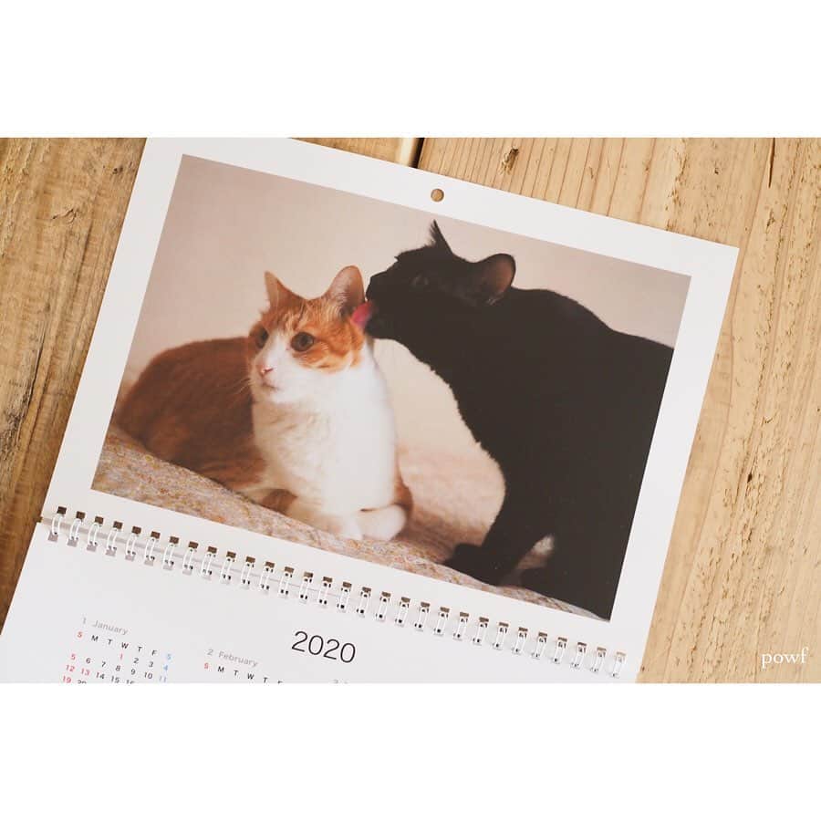 anemone_69のインスタグラム：「. 来年の #カレンダー は 今年撮った #ハカセとキョウジュ の写真で❤︎ . #マイブック #マイブックライフ . . .」