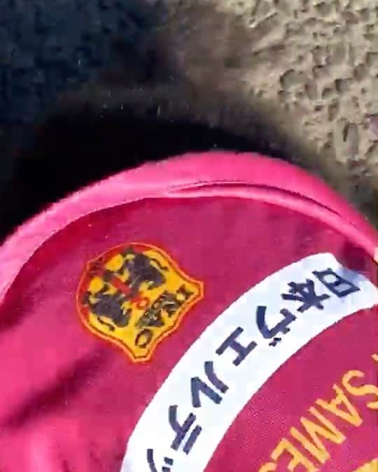 鮫島彩のインスタグラム：「・ ・ 我が家のエディおじいちゃん🐕 久々にお外の道をお散歩。  御年15歳。 人間で言うと76歳くらい。  鮫島家に来て良かったなと思える犬生を過ごしてもらえるように、たっぷり愛情注いで父と母がお世話します🐕  私の役目はお正月で帰省したときに、一緒に全力でゴロゴロすること。  今回も箱根駅伝見ながらゴロゴロしよね♡  #ミニチュアダックス  #毎年エディ用のユニフォームを #ありがとうございます #ファンの方からの贈り物」