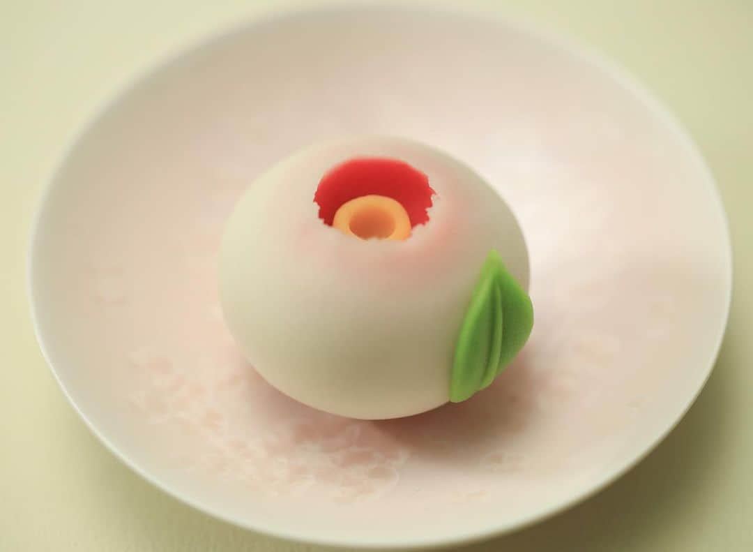 Toru Tsuchieさんのインスタグラム写真 - (Toru TsuchieInstagram)「今日の和菓子はねりきりで作った寒椿です。 ねりきりとは白餡に餅や芋を混ぜて作った和菓子で 茶道 で使われる「主菓子」の一種です。 撮影 用に製作しました。  フェイスブックページのいいね！もよろしくお願いします。 https://www.facebook.com/shishisu/ Today's wagashi is  camellia with Nerikiri. The Nerikiri is the material of wagashi made by mixing the rice cake and yam in white bean. Is a kind of "Jounamagashi" as used in the tea ceremony. The sweets I've made for the shooting. #福泉堂  #和菓子  #gm #funny #my_eos_photo #出雲  #swag #カメラ好きな人と繋がりたい  #写真好きな人と繋がりたい　 #model #style #可愛い #Japan #wagashi  #nature #model #ファインダー越しの世界 #日本 #work #撮影 #happy #Kue #igfood #lifestylenipponpic #cute #เค้ก #sweets #сладости #yummy」12月2日 7時20分 - choppe_tt