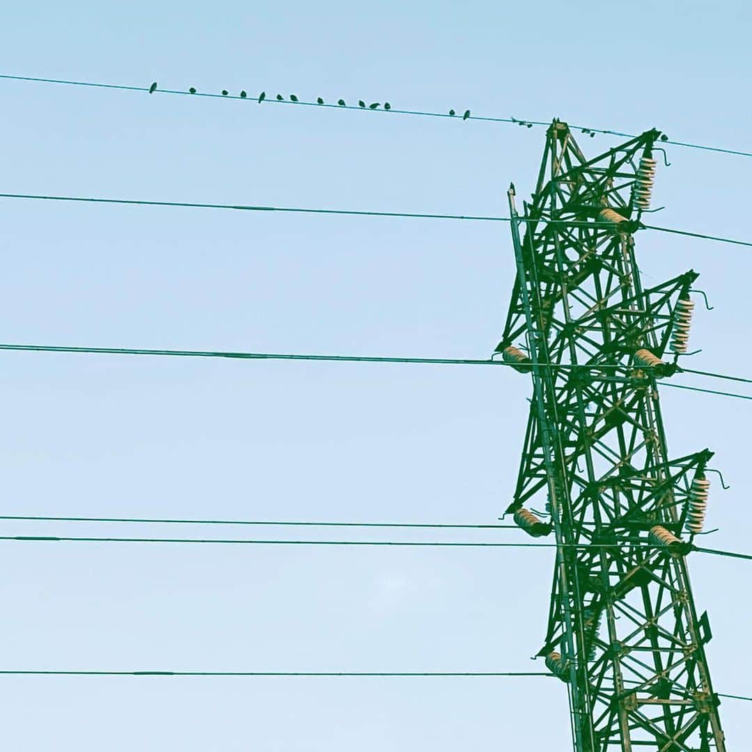 中野敬久さんのインスタグラム写真 - (中野敬久Instagram)「#鉄塔 #鉄塔の会 #電線 #電線に鳥 #wire #birds #tower」12月2日 7時13分 - hirohisanakano