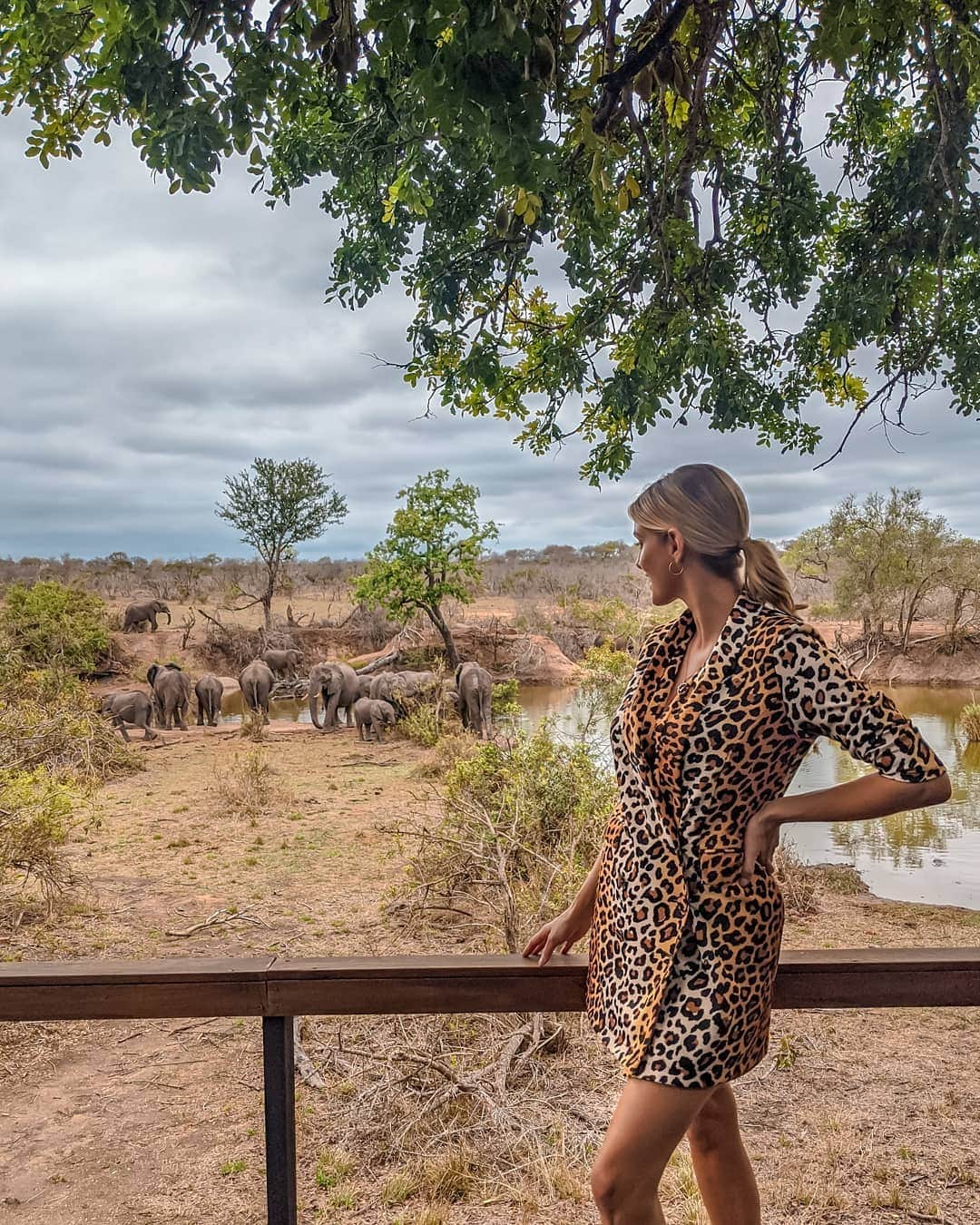 Ashley Jamesさんのインスタグラム写真 - (Ashley JamesInstagram)「if you think I'm the type of person who'd see a big group of elephants as an opportunity to take photos in a leopard print blazer dress from my own collection... then you'd be absolutely correct! 🐘 I'm wrapped up warm on the bus on my way to Lilah's house for lunch flicking through all my photos from last week. It feels like a distant dream! But I did want to show you my leopard print blazer dress... You can wear it as a dress as I've done here, or as a jacket. I haven't done any Black Friday deals this year, as I feel like there's already so much pressure to spend money this time of year. If you are on the hunt for clothes though, I'd love you to check my collection. The link is in my bio. 🐆❤️🥰 #AshleyJamesxLittleMistress #safari」12月1日 22時37分 - ashleylouisejames