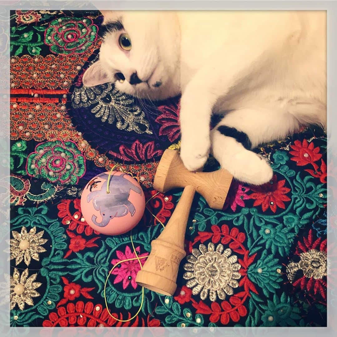 Akira Yamaguchiのグルメインスタ