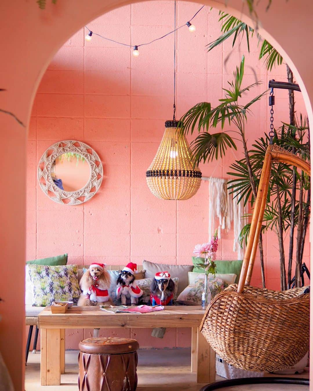 Toypoodle Mikuru?Asakusa Tokyoのグルメインスタ