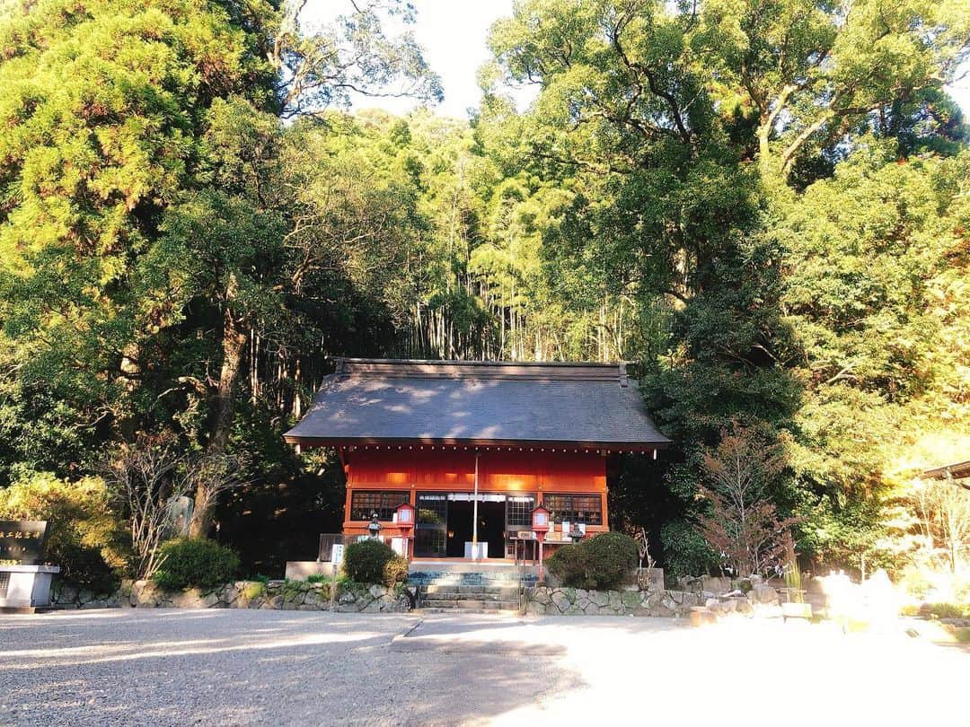 迫田さおりさんのインスタグラム写真 - (迫田さおりInstagram)「・ 厳島神社 ・ 落ち着く素敵な神社でしたぁ。 ・ ・ #鹿児島#出水  #私外に出よう #厳島神社  #行動‼︎#趣味探し‼︎」12月1日 23時31分 - saori.rio