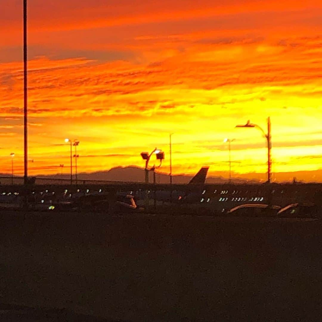 メアリー・マクドネルさんのインスタグラム写真 - (メアリー・マクドネルInstagram)「Say what you will about LAX. Can’t beat these morning skies... I❤️LA」12月1日 23時48分 - theladybam