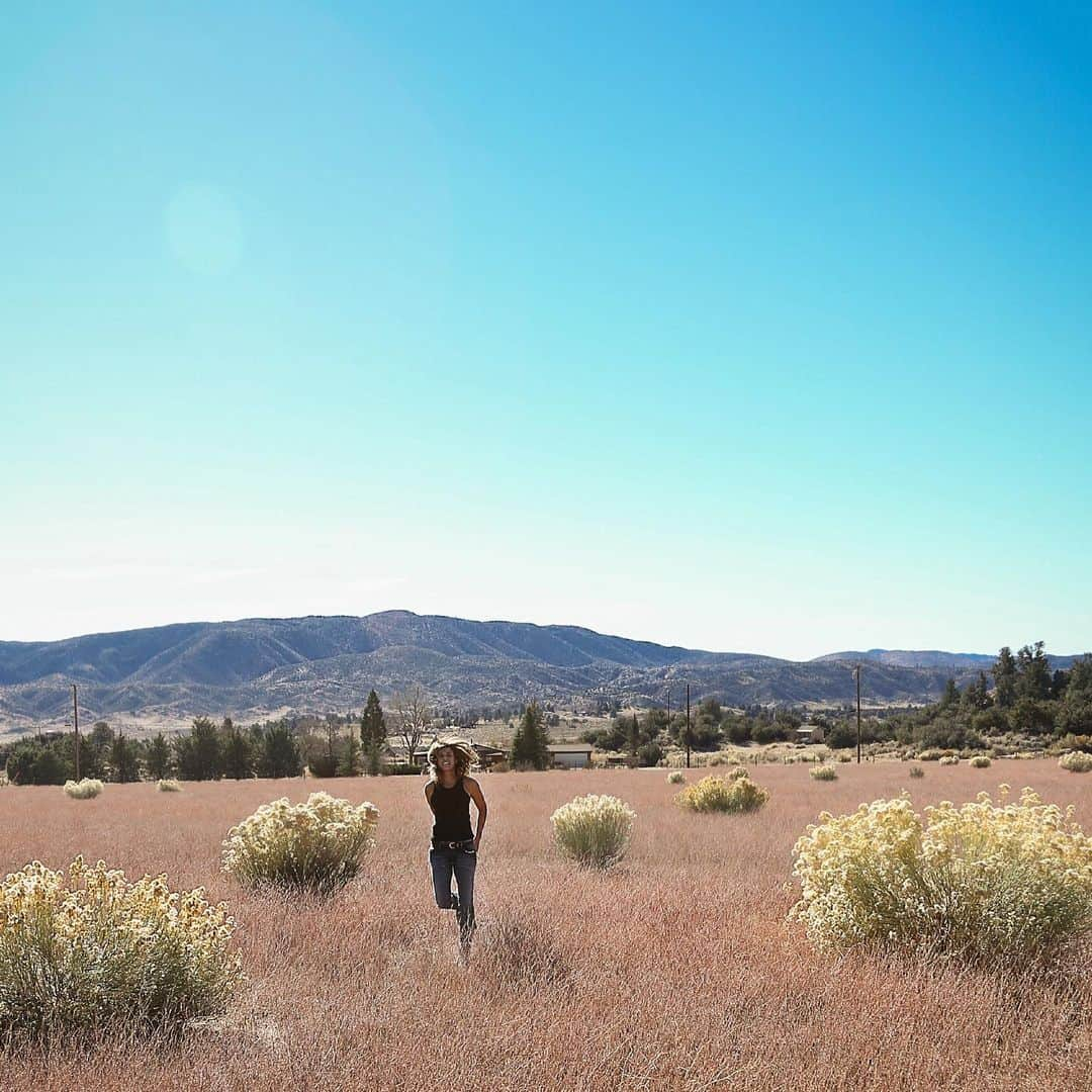 エリザベッタ・カナリスさんのインスタグラム写真 - (エリザベッタ・カナリスInstagram)「Fields of gold」12月2日 0時26分 - littlecrumb_