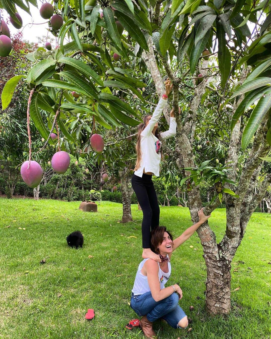 Giovanna Antonelliのインスタグラム：「🥭Fruta do pé!!!! 🥭🙌🏻」