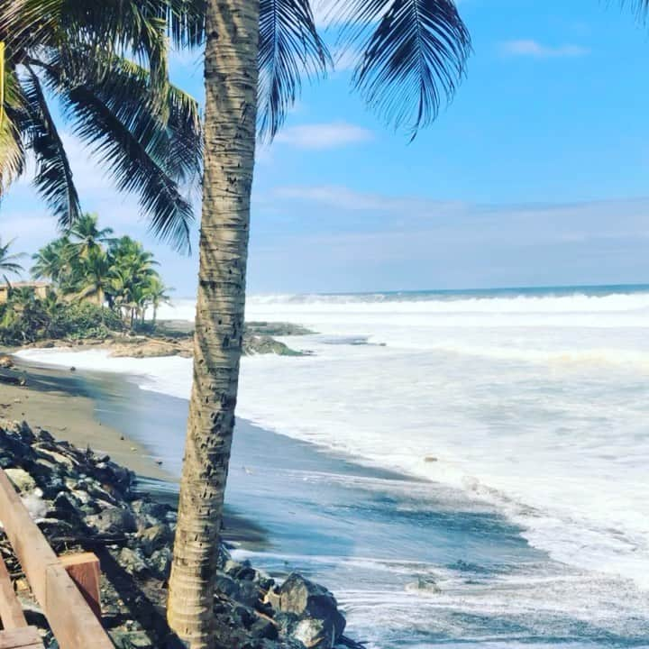 鈴木優のインスタグラム：「分かるでしょうかこれ  人生で断トツ高い波🌊 見たことない🤩  #プエルトリコ🇵🇷 #T岡田　さん #久々でーす #今日は #雨で中止☔️」