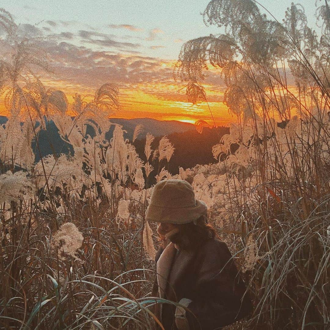 のインスタグラム：「🧡 太陽に照らされた山の木々のキラキラした輝きと いろんな暖色に染まる紅葉が神々しかったり 夕陽に照らされてオレンジ色に染まる 山、空、ススキが優しい気持ちにさせてくれたり 奈良への旅　自然からパワーもらえて 浄化された🍂✨ ❤︎ #japan」