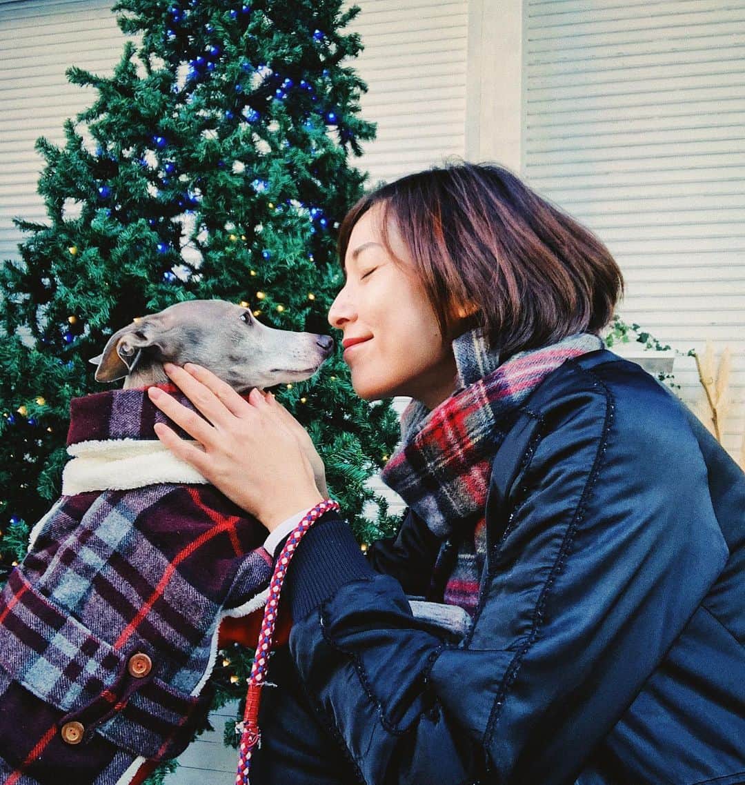 のインスタグラム：「* ******** What do you wish for Christmas?🎄 * もう12月…早いなぁ…☺️ 今月は私の母サンタがハウルのお洋服を持って大分へ来てくれる予定なので、ハウルへのクリスマスプレゼントが、我が家では1番多くなる気がします…！😂 寒い冬もぬくぬくなお散歩が出来るといいね、ハウル💓 * ******** #イタグレ#イタリアングレーハウンド#italiangreyhound#dogstagram#イタグレとの暮らし#iggysofinstagram#iggygram #iggylove#iggylife#犬のいる暮らし#イタグレ服#iggysoftheworld #iggysofinstagram #dogsofig #dogsofinstagram #プチプラコーデ #犬好きな人と繋がりたい#オシャレさんと繋がりたい#犬服ハンドメイド#リンクコーデ#おんせん県おおいた」