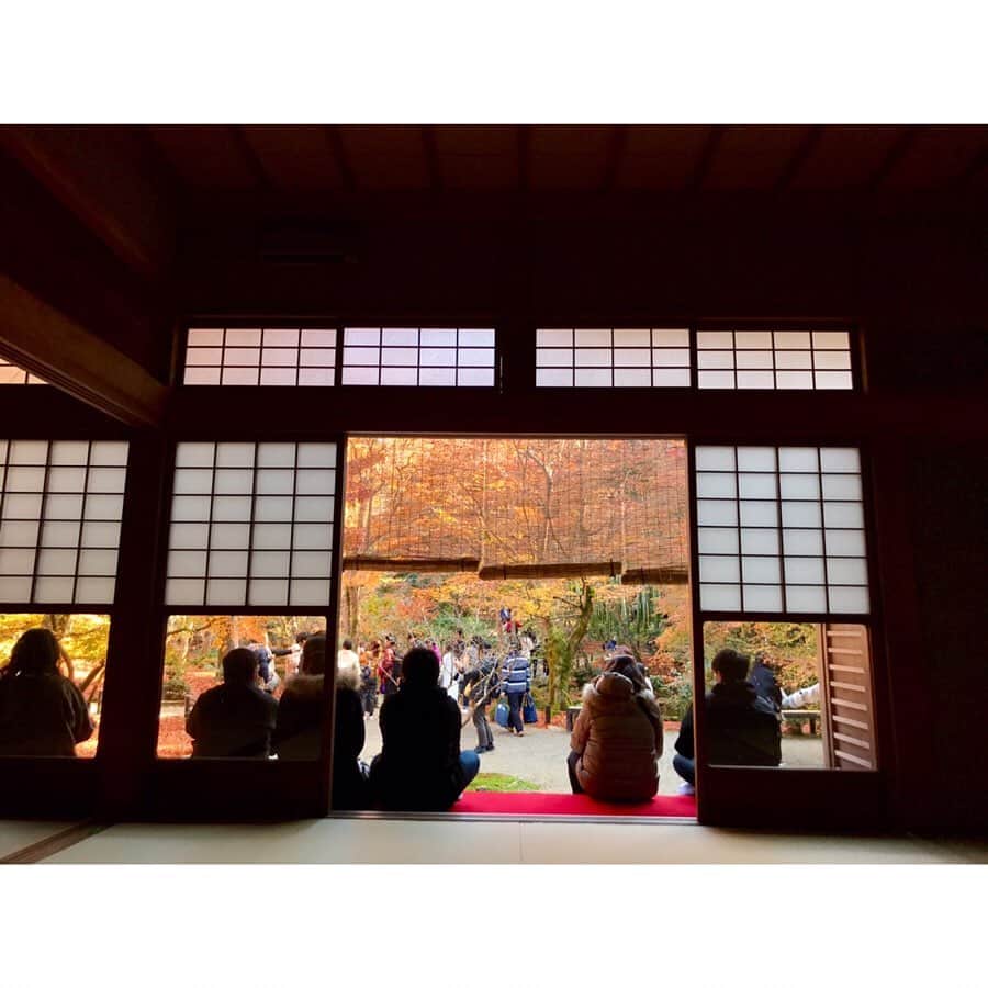西谷綾子さんのインスタグラム写真 - (西谷綾子Instagram)「✴︎ いつぶりかな⁈🤔 夏以来っ⁈😳の土日休みーー☺️♡ ・ 思い立って💡 金曜日の23時半過ぎに #そうだ京都行こう ってコトで‥😂😂 行ってきましたー🚄🍁😆 ・ #京都 #紅葉 #敷き紅葉  #庭園 #四季 #癒し #自然 #風景」12月2日 7時56分 - ayako.nishitani